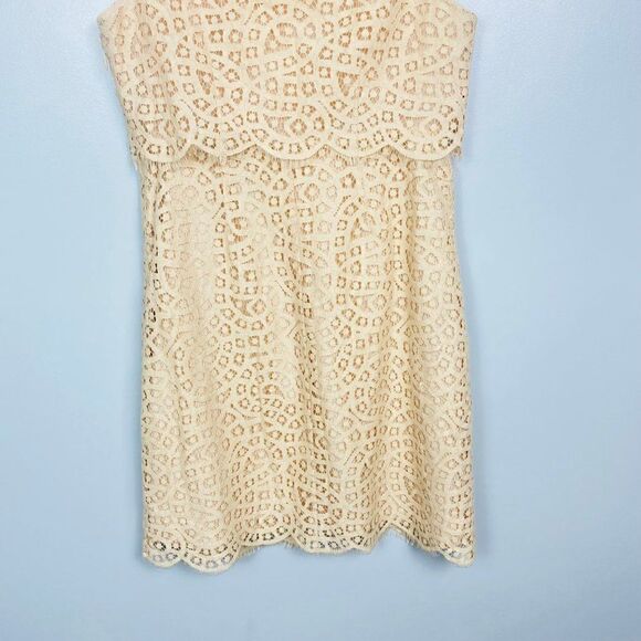 J. Crew Womens Size 4 Blush Pink Sleeveless Tiered Shift Dress in Teardrop Lace - Picture 10 of 10